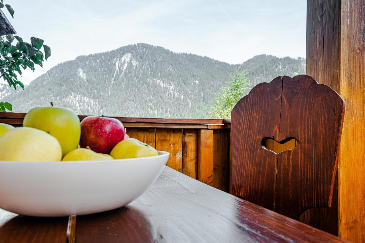 Apartment Dolomites Nest San Martino in Badia Exterior foto